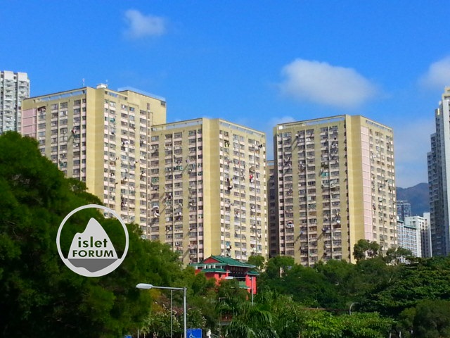 竹園南邨chuk yuen south estate (2).jpg