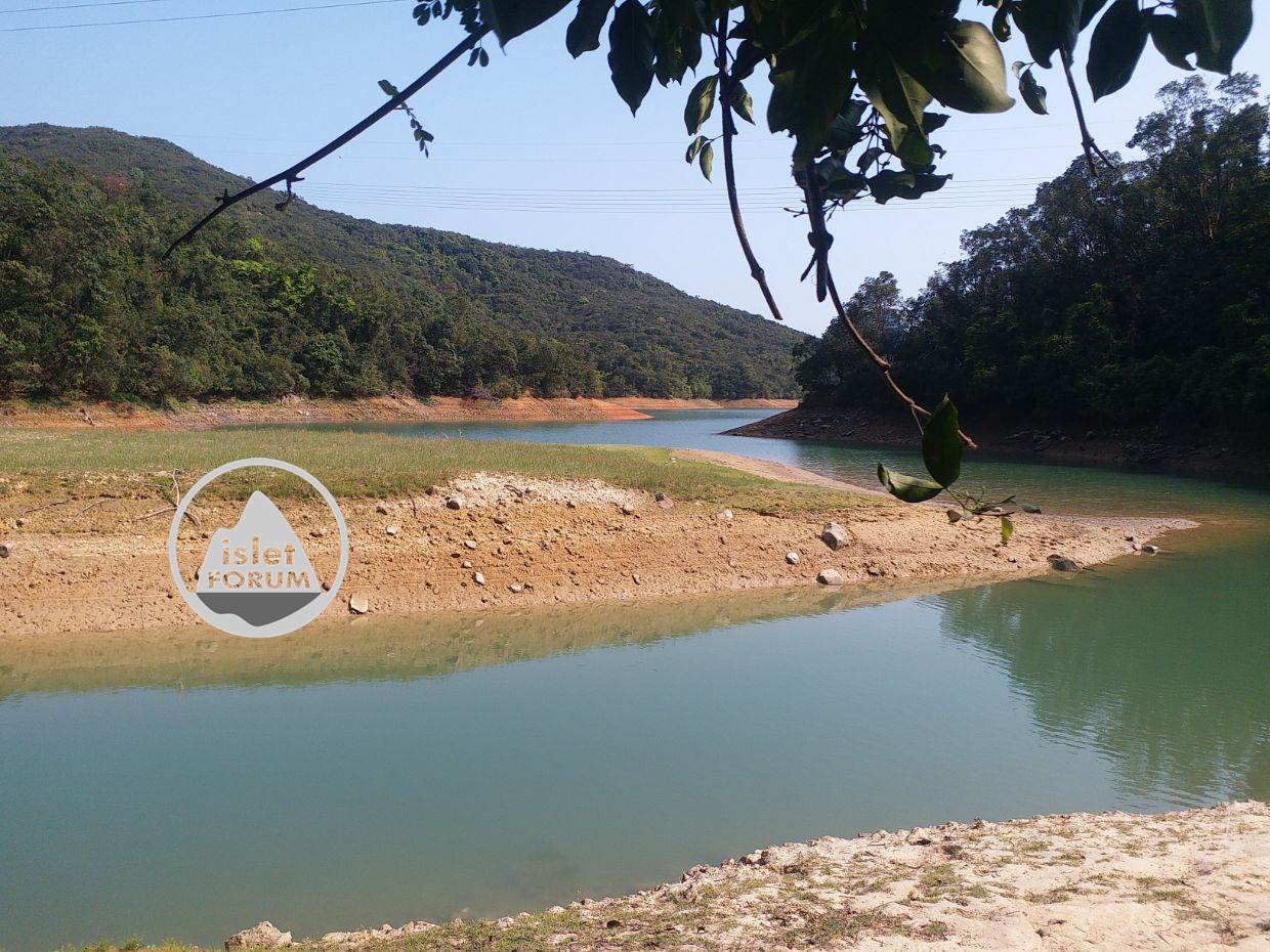 香港仔下水塘aberdeen lower reservoir 4 (1).jpg