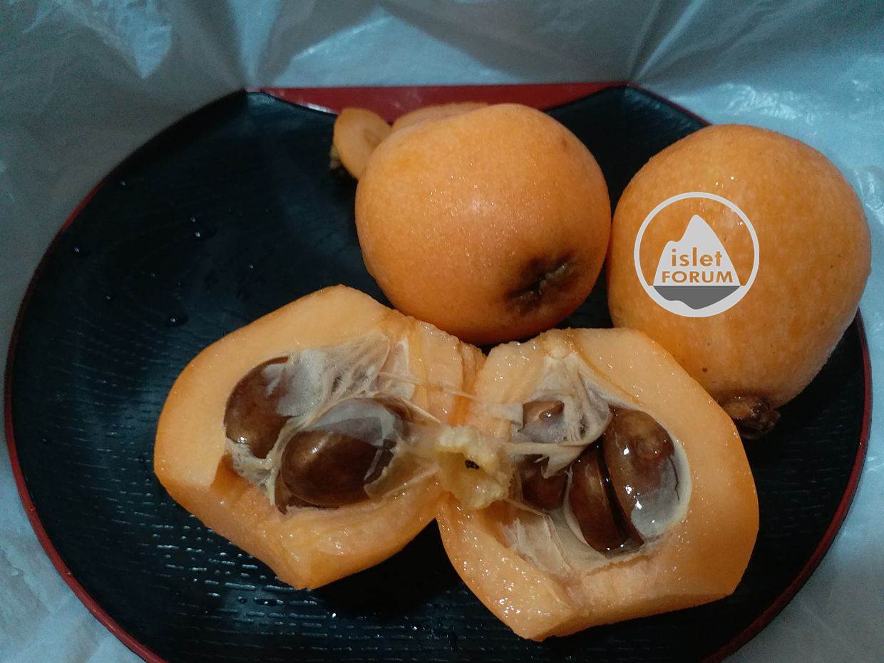 枇杷Loquat (Japanese medlar, Japanese plum, Chinese plum, or pipa) (2).jpg