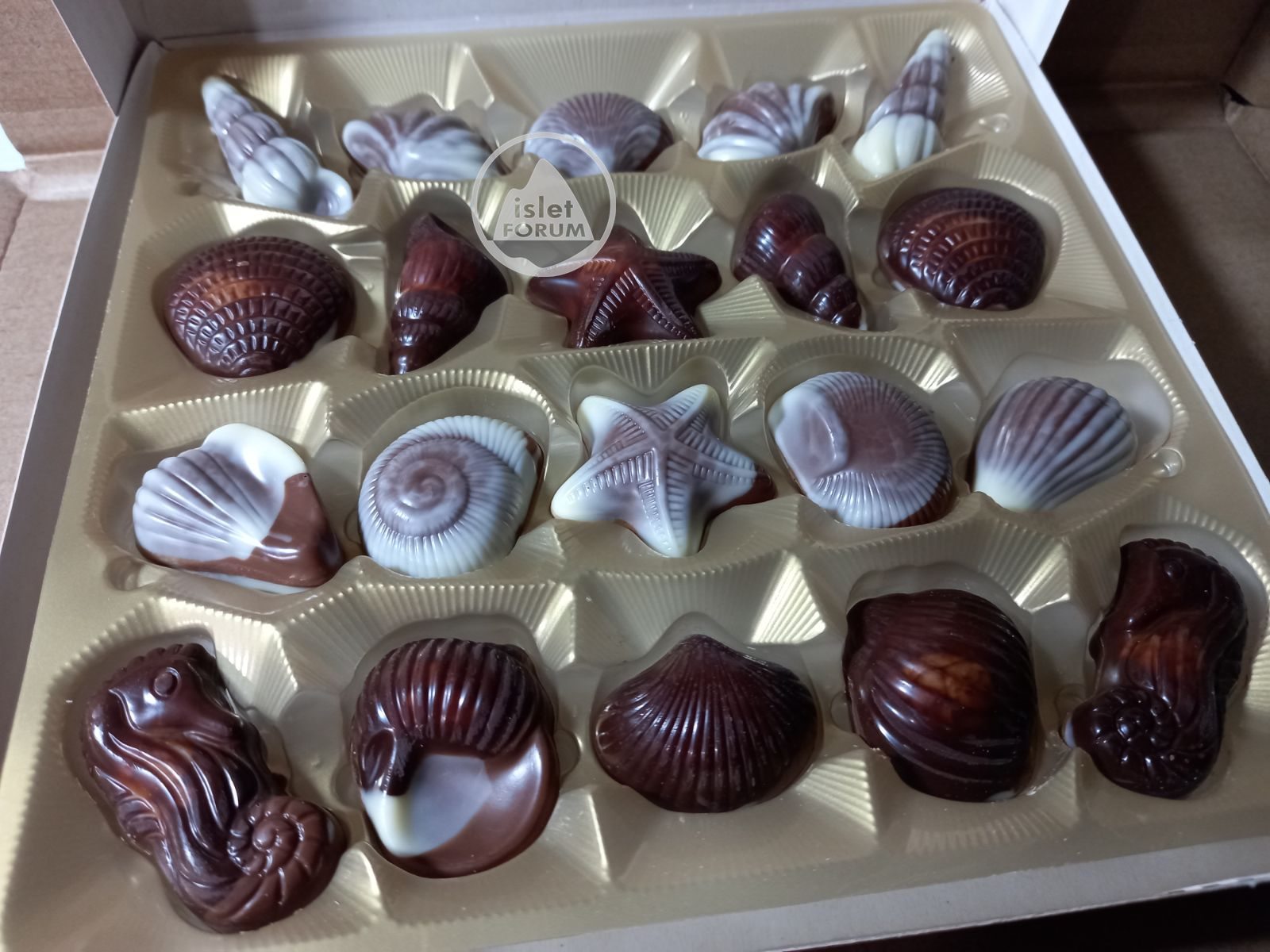 Meadows Belgian Chocolate Seashells, 20 pieces (2).jpg