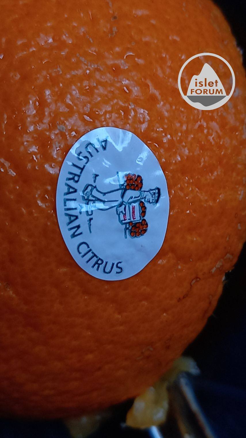 Australian Citrus 橙，好好味，多汁.jpg