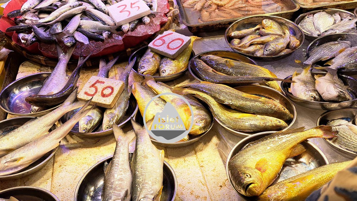 香港仔早上魚市場 (5).jpg