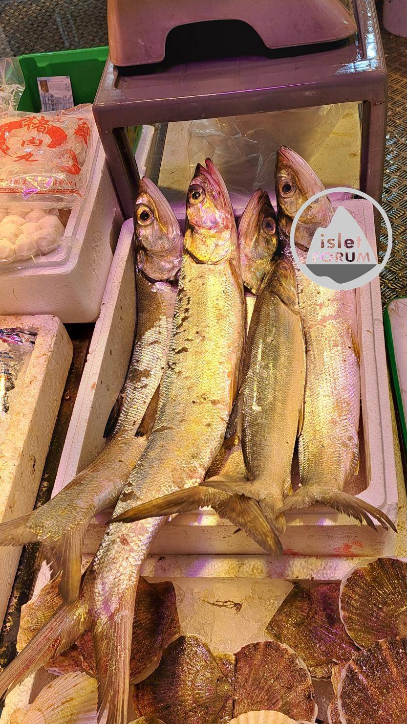 香港仔早上魚市場2.jpg