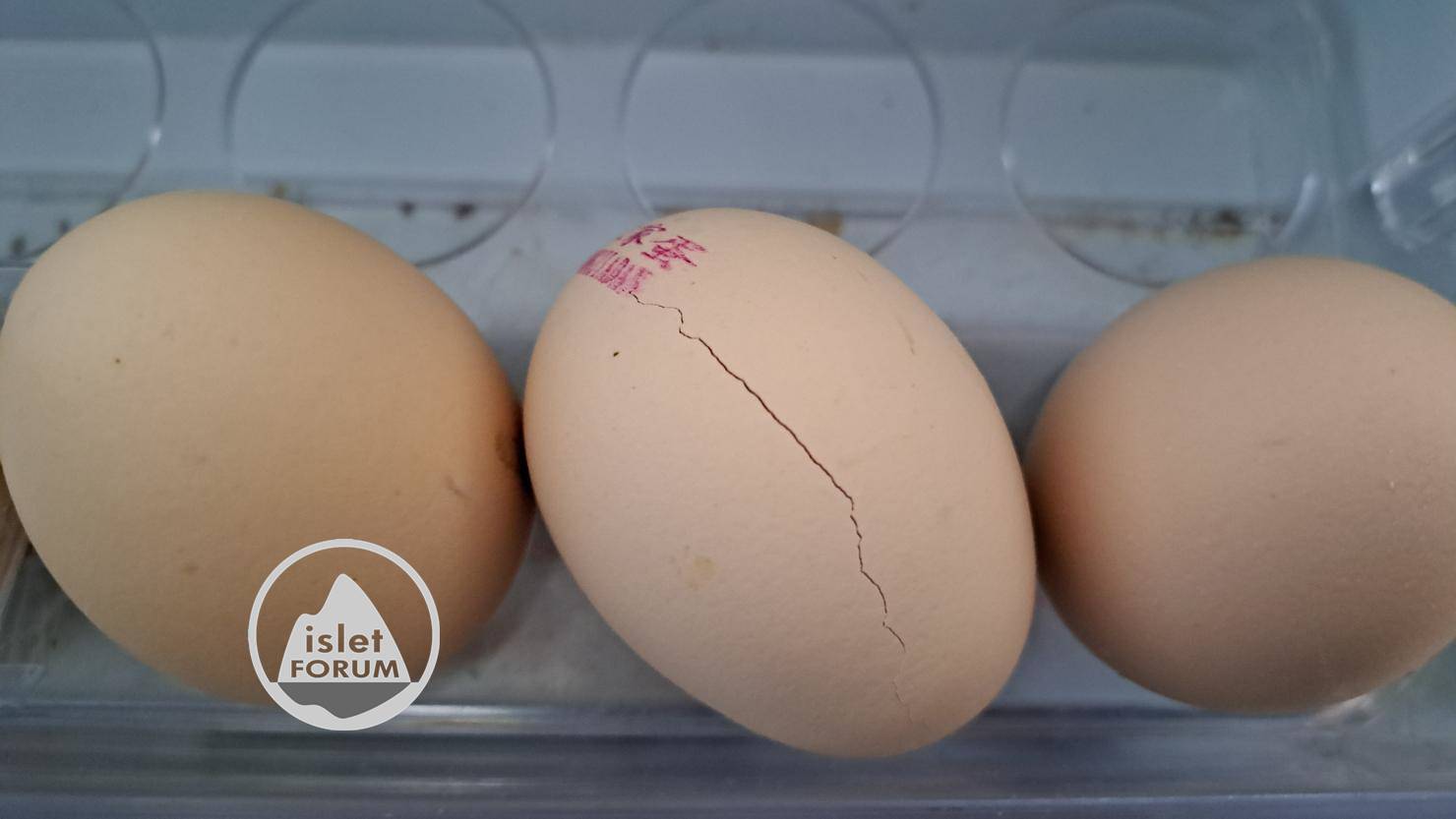為甚麼生蛋在雪櫃裡會裂開呢？egg crack.jpg