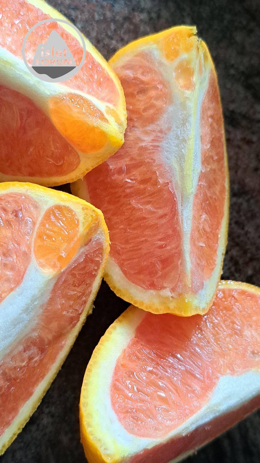 紅肉橙 Red Flesh Orange  (2).jpg