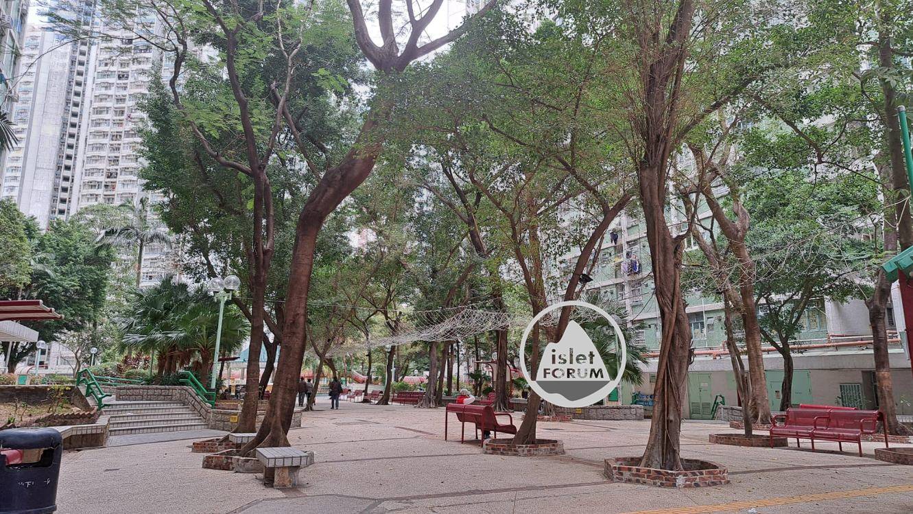 黃大仙下邨公園 Lower Wong Tai Sin Estate Park (4).jpg