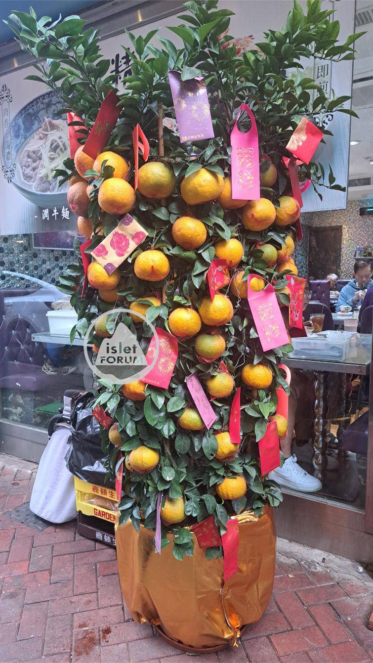 大吉大利，年桔 CNY Tangerines.jpg