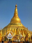Shwedagon Paya in Yangon 仰光大金寺 @ Myanmar