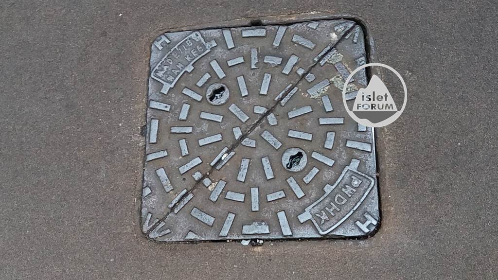 坑渠蓋manhole cover (8).jpg