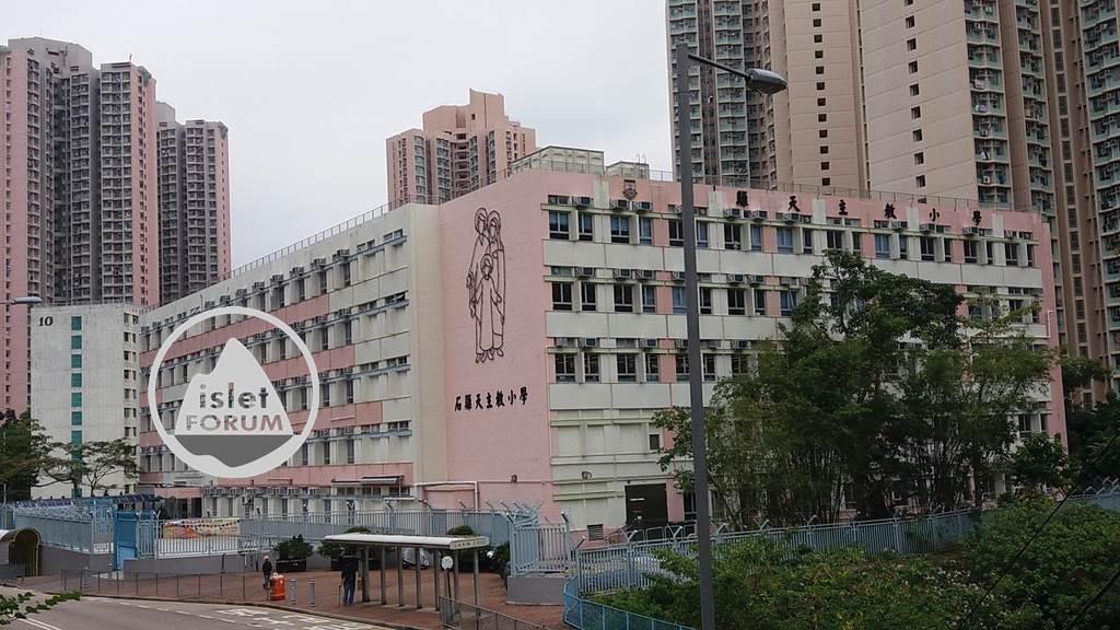 石籬天主教小學 shek lei catholic primary school(17).jpg
