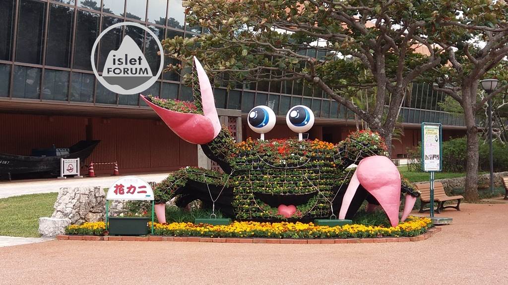 沖縄美ら海水族館Okinawa Churaumi Aquarium (43).jpg