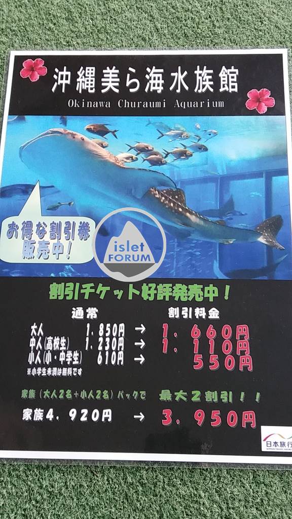 沖縄美ら海水族館Okinawa Churaumi Aquarium (1).jpg