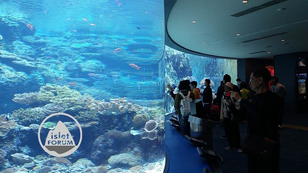 沖縄美ら海水族館Okinawa Churaumi Aquarium (15).jpg