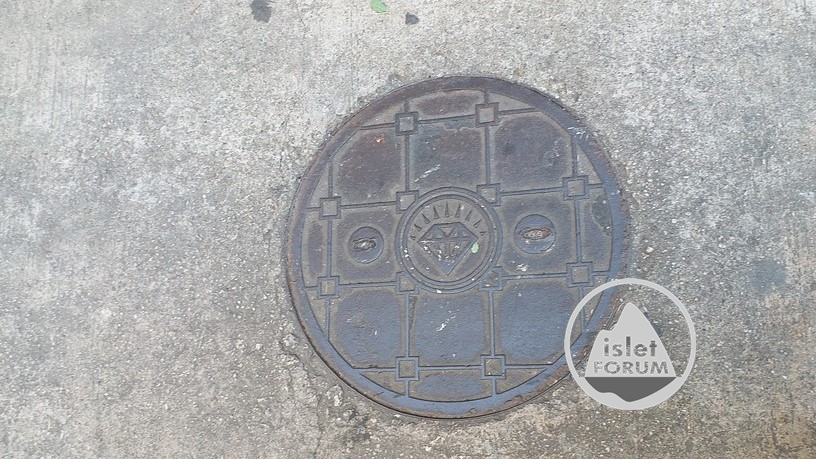 坑渠蓋（人孔蓋） manhole cover (4).jpg