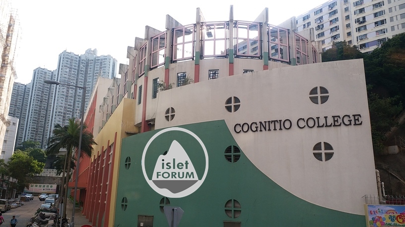 文理書院（香港）Cognitio College (Hong Kong) (1).jpg