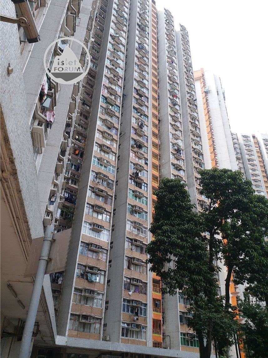長安邨Cheung On Estate (2).jpg