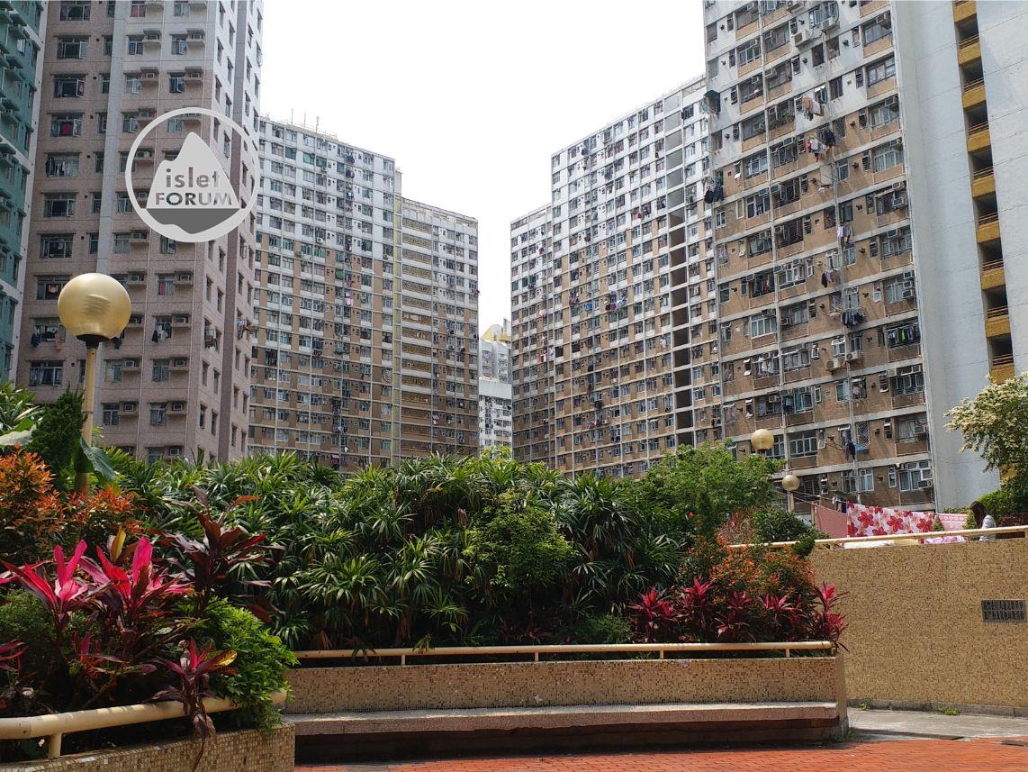 長安邨Cheung On Estate (16).jpg