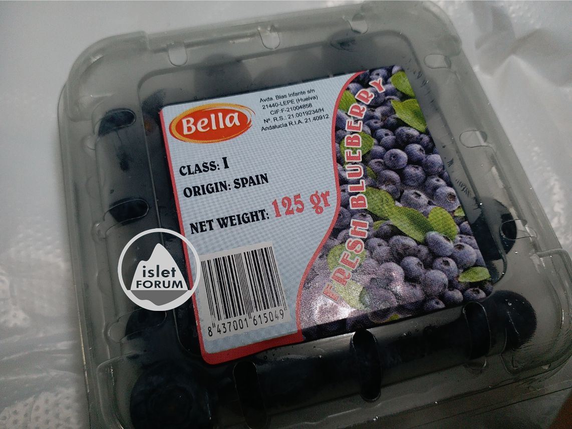西班牙Bella藍莓 (2).jpg