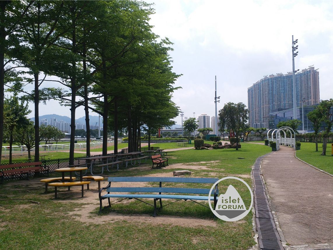 彭福公園penfold park (9).jpg