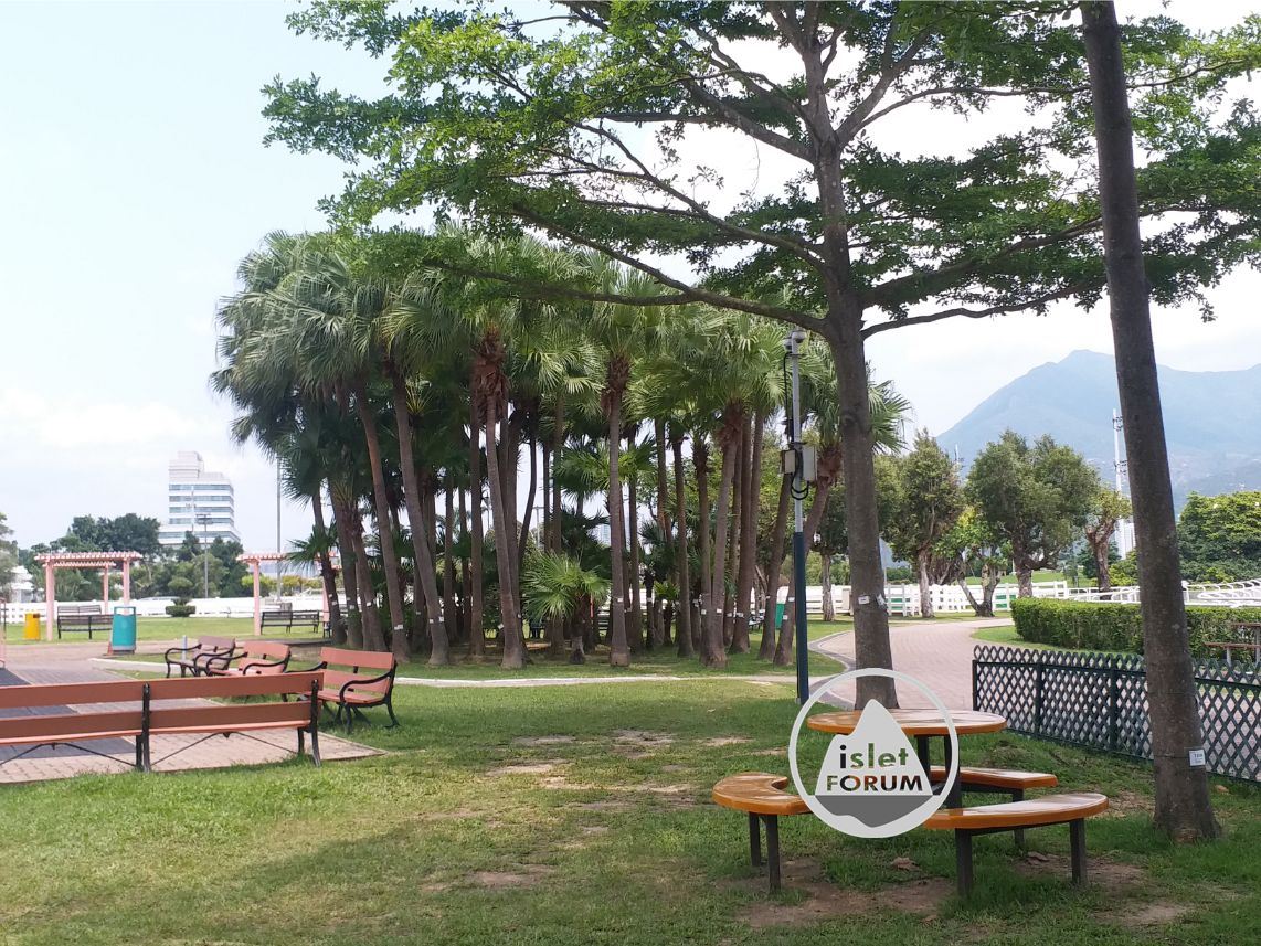 彭福公園penfold park (11).jpg