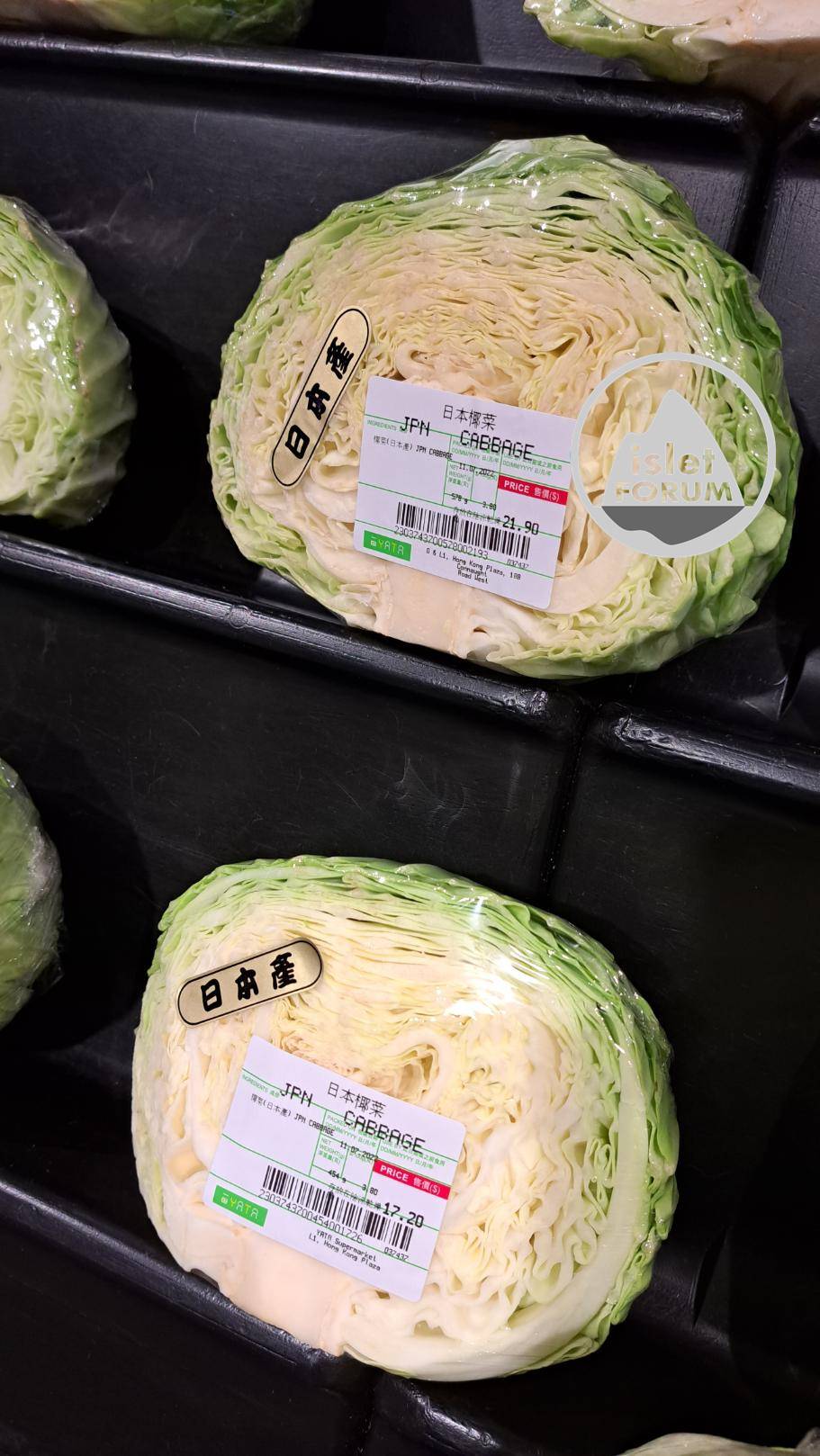 日本椰菜, Japanese Cabbage.jpg