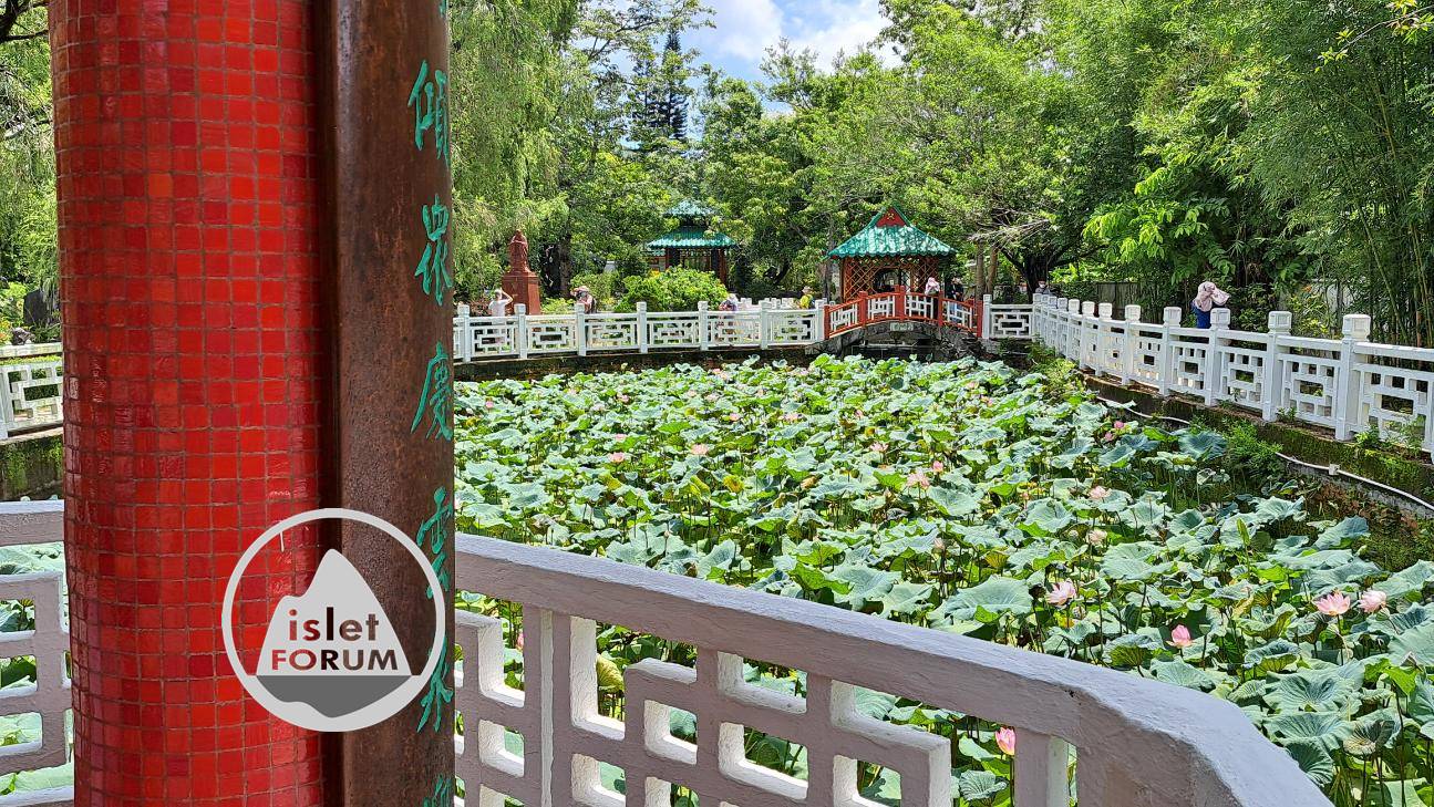 雲泉仙館荷花池2022Wun Chuen Sin Kwoon Lotus Pond (18).jpg