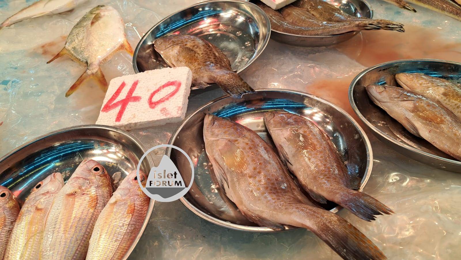 香港海濱公園大船內右邊的魚檔買魚.jpeg