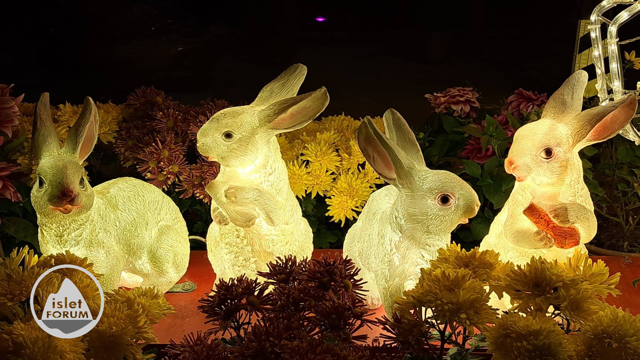 兔年農曆新年公園裝飾 Year of the Rabbit Lunar New Year Park Decoration (3).jpeg
