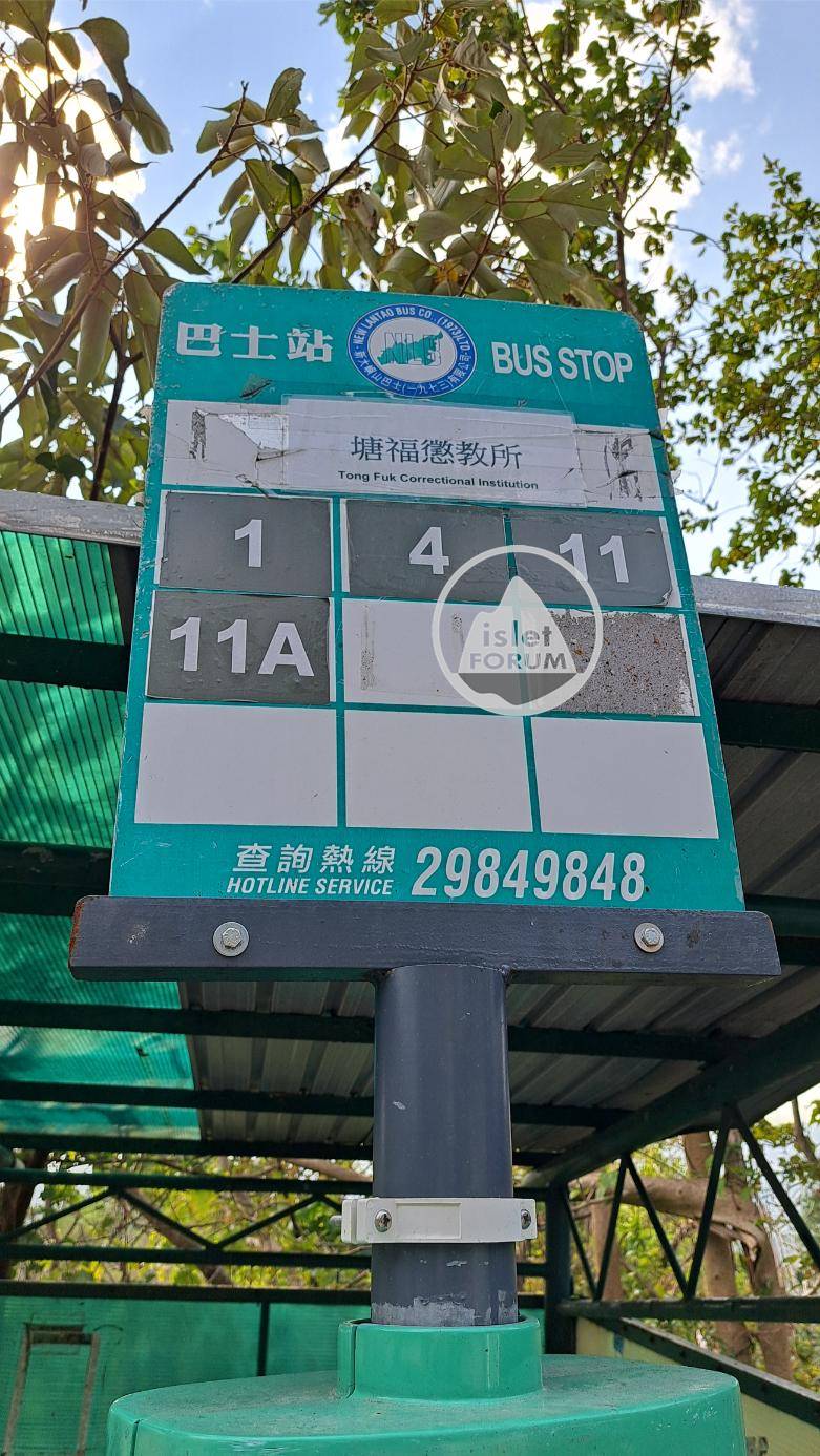 新大嶼山巴士new lantau bus (1).jpg